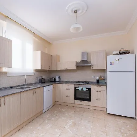 Lillyrose 别墅 费特希耶